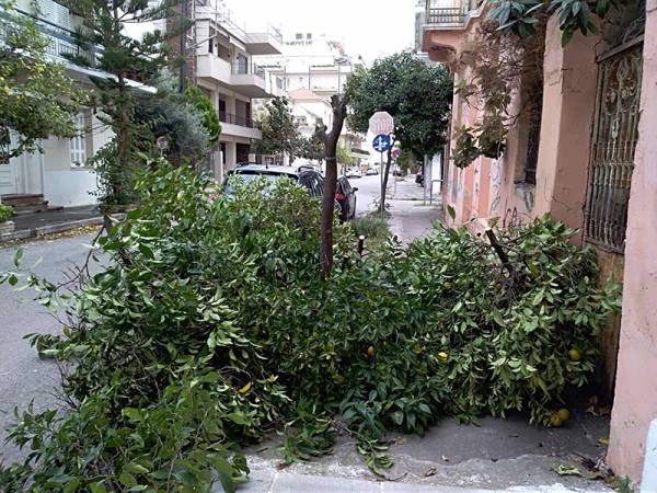 Επικίνδυνα κλαδιά