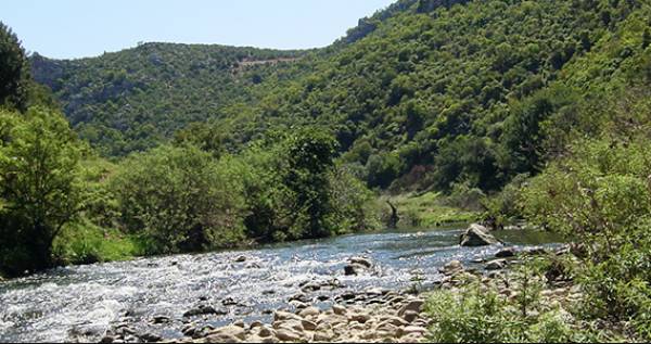 "Πράσινη εβδομάδα" στο Δήμο Ευρώτα