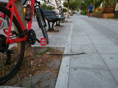 Ποτίζουν το πεζοδρόμιο