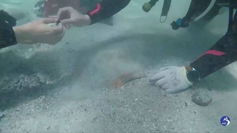 Δύτες ανακάλυψαν τεράστια ποσότητα αρχαίων νομισμάτων στα ανοικτά της Σαρδηνίας