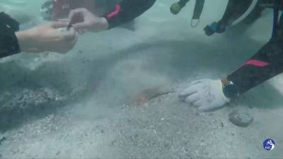 Δύτες ανακάλυψαν τεράστια ποσότητα αρχαίων νομισμάτων στα ανοικτά της Σαρδηνίας