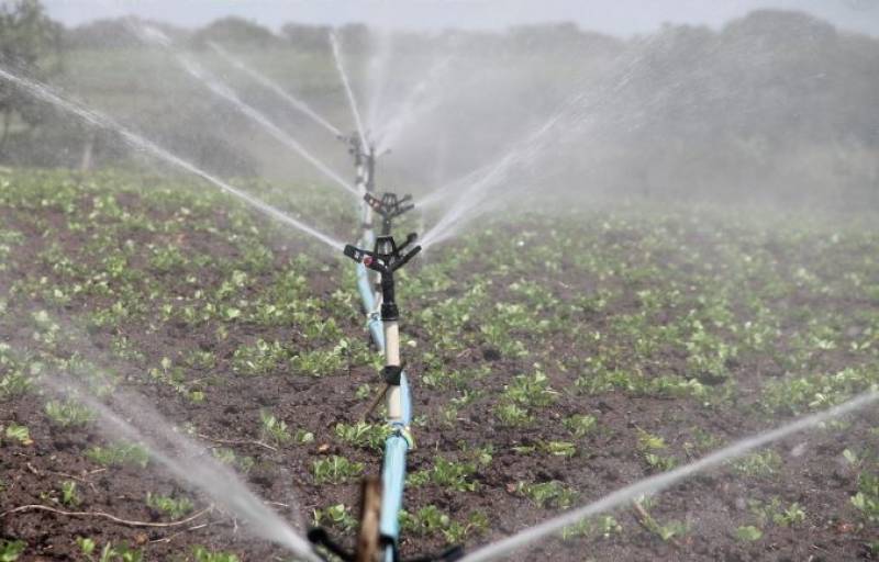 Κρίσιμα τα έργα άρδευσης για τα σύκα και τις σταφίδες