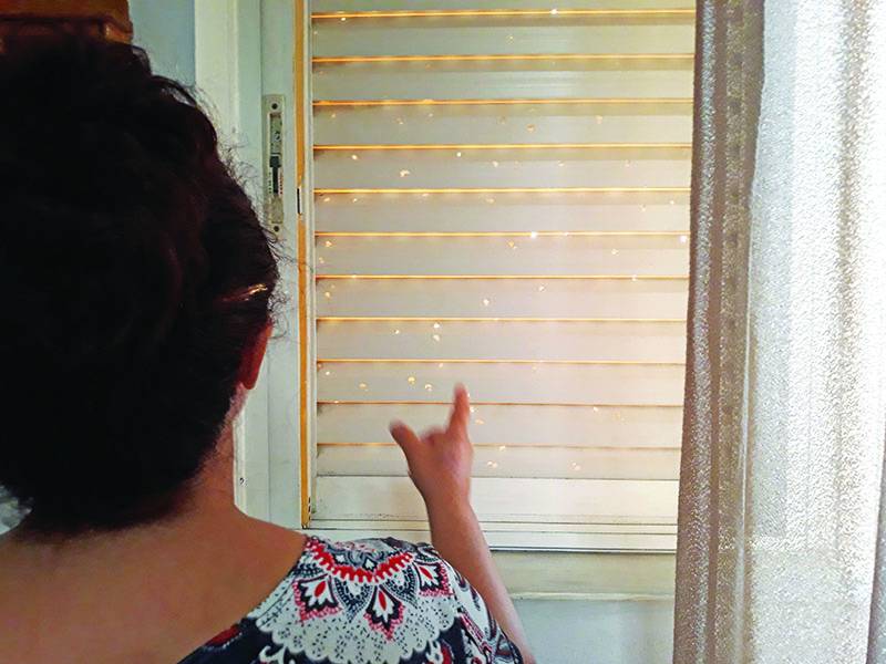 Φόβος και τρόμος σε γειτονιά της Μεσσήνης: Σκάγια χτύπησαν σπίτι ανύποπτων πολιτών (βίντεο)