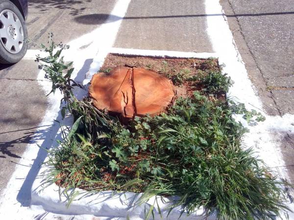 Εκοψαν το δέντρο