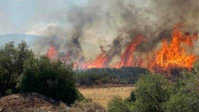 Μεσσηνία: Μεγάλη φωτιά στην Πολυθέα - Συναγερμός από το 112
