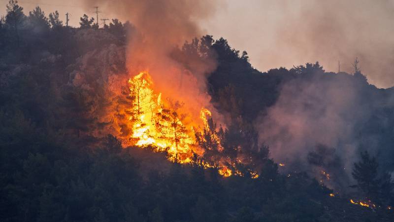 Μεσσηνία: Μεγάλη πυρκαγιά στο Βασιλίτσι