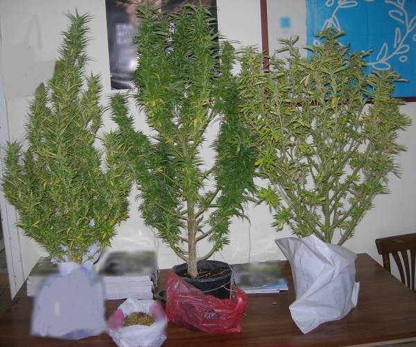 Συλλήψεις για ναρκωτικά και χρέη στην Αργολίδα
