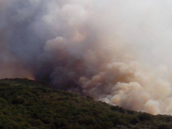 Απειλεί την Αρχαία Μεσσήνη η φωτιά