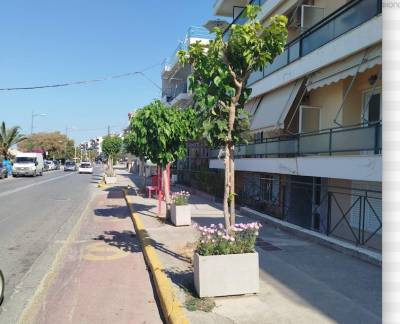 Συνεχίζονται οι φυτεύσεις στην παραλιακή ζώνη της Καλαμάτας