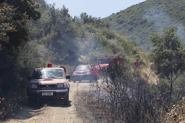 Σε ύφεση η φωτιά στο Σουληνάρι