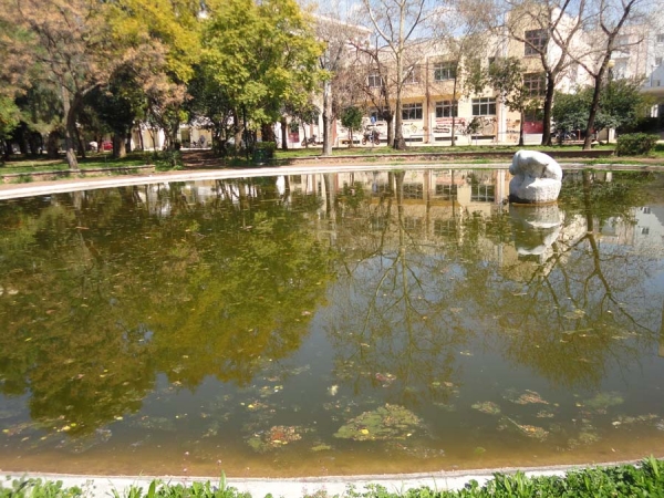 "Εφαγαν" τις πάπιες στο πάρκο σιδηροδρόμων