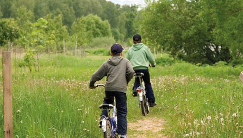 "Ο θησαυρός του Ταϋγέτου" από τη Μαρία Ρουσάκη