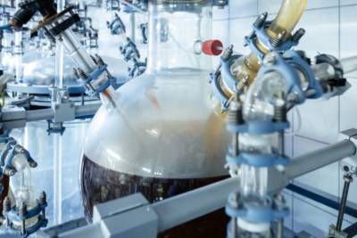 Μαύρος μύκητας μετατρέπει τα πλαστικά απόβλητα σε βρώσιμα συστατικά