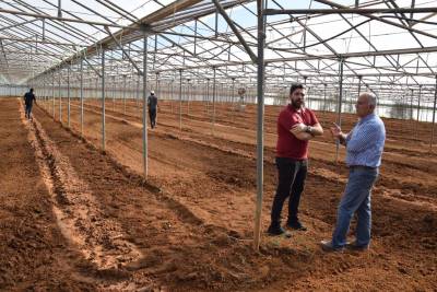 Σπάρθηκε η πρώτη θερμοκηπιακή καλλιέργεια βιομηχανικής κάνναβης στη Μεσσηνία (βίντεο)
