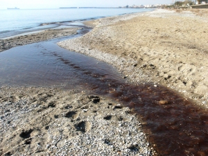 Εκδήλωση για τα απόβλητα ελαιοτριβείων