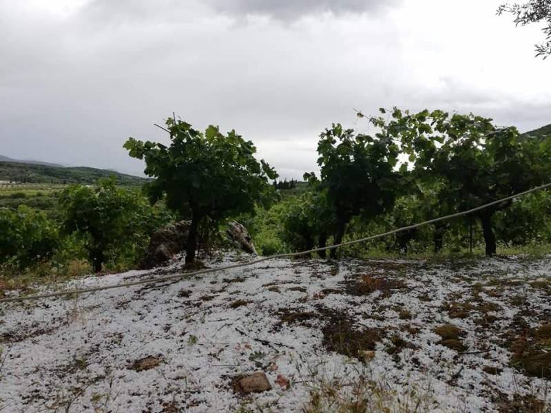 Ζημιές από χαλάζι στο Βλαχόπουλο