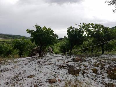 Ζημιές από χαλάζι στο Βλαχόπουλο