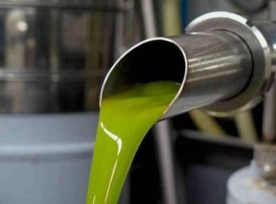 Ρεκόρ παραγωγής ελαιολάδου στην Τριφυλία