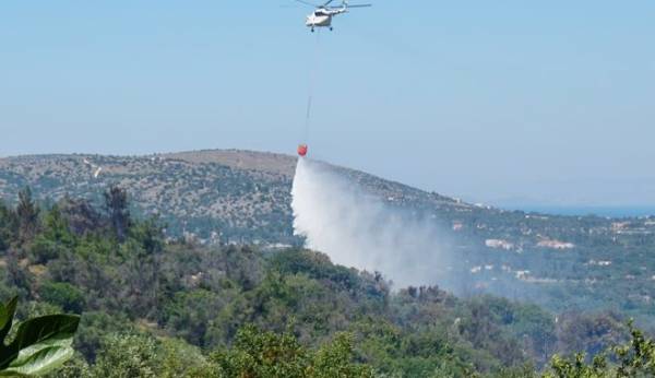 Καλύτερη εικόνα παρουσιάζουν οι φωτιές σε Βασιλίτσι, Βλαχόπουλο και Καστανιά Μάνης