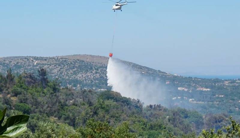 Καλύτερη εικόνα παρουσιάζουν οι φωτιές σε Βασιλίτσι, Βλαχόπουλο και Καστανιά Μάνης