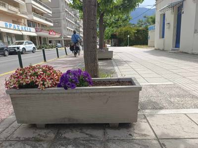 Φυτά κατευθείαν στη σακούλα…