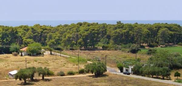 Ο πρόεδρος της Ελαίας για το Πύργος - Τσακώνα
