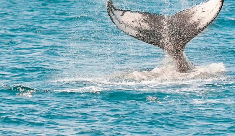 9η Διεθνής Διάσκεψη για τους Ωκεανούς στην Ελλάδα