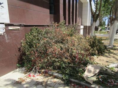 Παρατημένα μέρες