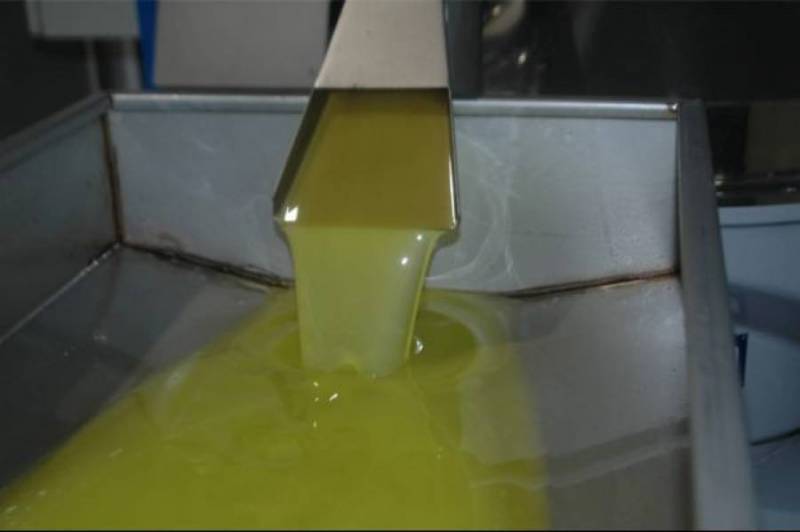 Ισπανοί νομοθετούν την ιχνηλασιμότητα στο ελαιόλαδο