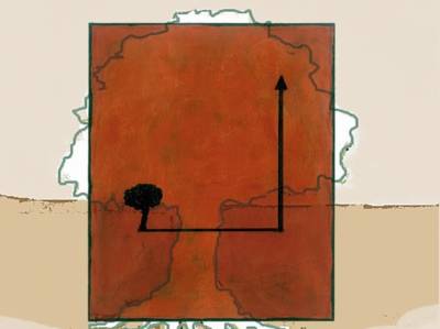 Ολοκληρώνεται η έκθεση τέχνης “Terra Oliva Project”