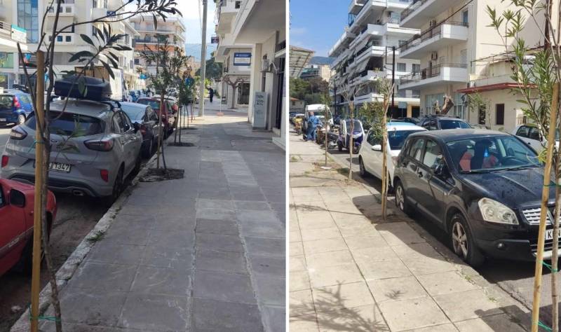 Φυτεύσεις δέντρων στην Καλαμάτα