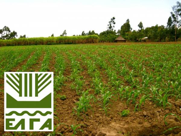 Με το ΚΤΕΛ στο... χωράφι οι εκτιμητές του ΕΛΓΑ