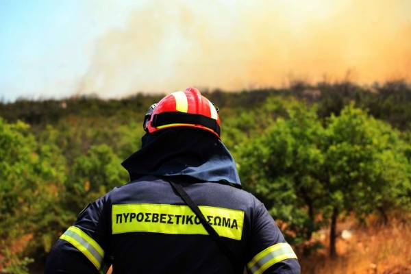 Σε ύφεση η φωτιά στην Αργολίδα