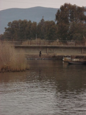 Φρίκη: Κρέμασαν σκυλί στη γέφυρα του Αρι