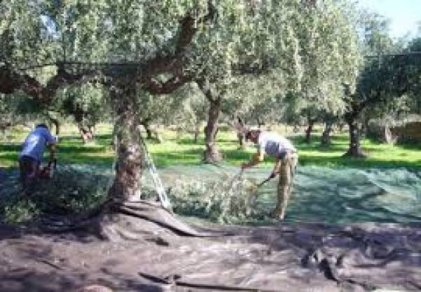 Τα σπουδαία προσεχώς