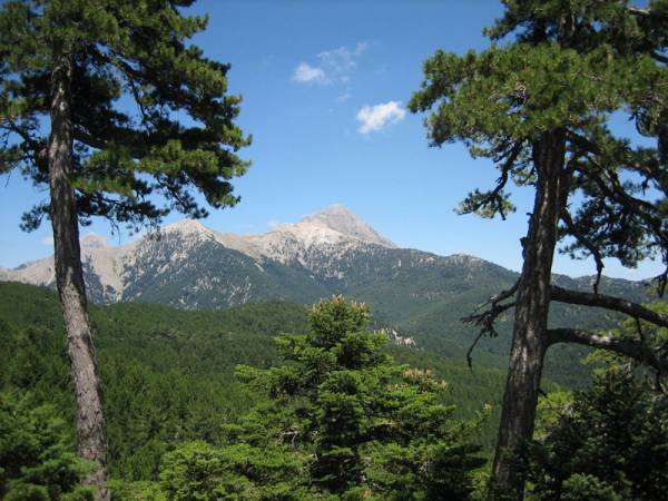 Εξόρμηση στο Βόρειο Ταΰγετο