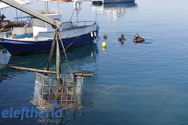 Σκουπίδια και πλαστικά σε θάλασσες και ακτές