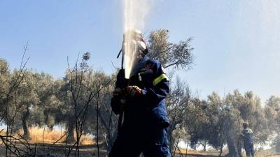Πυρκαγιά στα Φλογεραίικα Ερυμάνθου