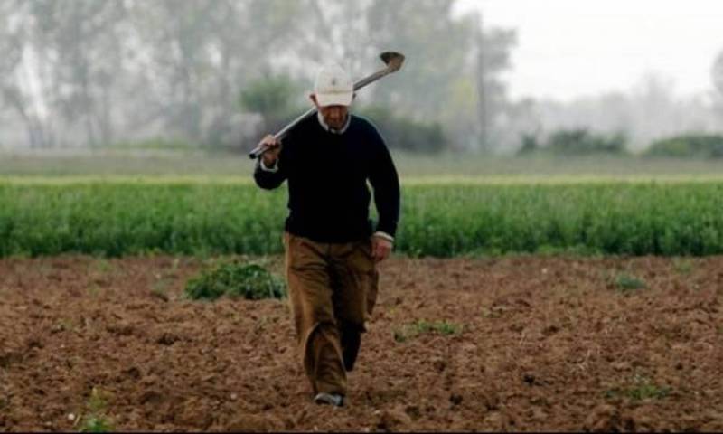 Καταργείται το τέλος επιτηδεύματος για τους συνεταιριστικούς αγρότες