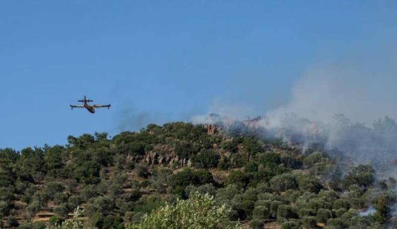 Μεγάλη φωτιά στο Δίστομο Βοιωτίας (βίντεο)