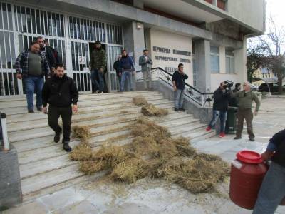 Καλαμάτα: Αγρότες άδειασαν γάλα και σανό στο Διοικητήριο (βίντεο)