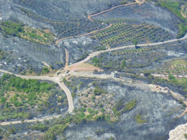 Εμπρησμό στην Ιθώμη βλέπει η Πυροσβεστική