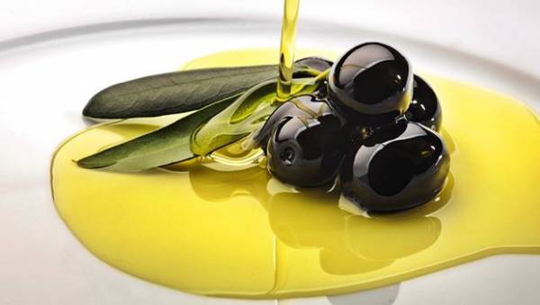 Σεμινάρια για το ελαιόλαδο στην Καλαμάτα