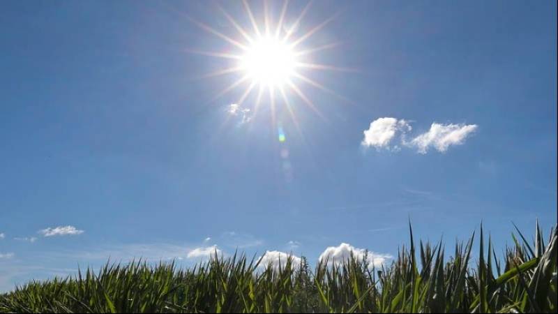 Αίθριος ο καιρός σήμερα, λίγες νεφώσεις στα ηπειρωτικά, τοπικές βροχές στα ορεινά