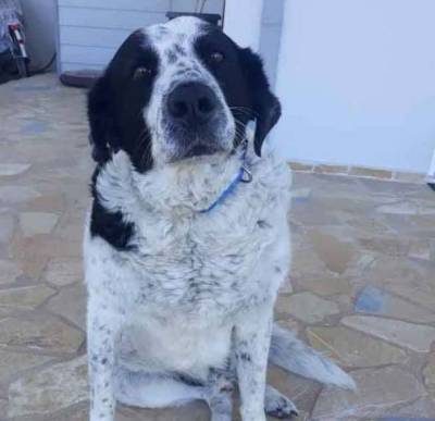 Η βαναυσότητα δεν σηκώνει καμία δικαιολογία