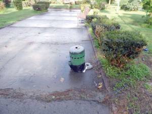 Πήραν και το κολονάκι