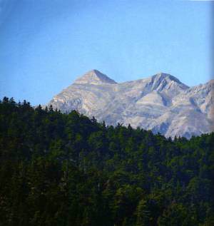 Ανοιξιάτικο σχολείο της φύσης στον Ταΰγετο