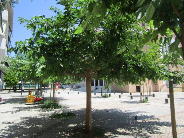 Ισκιος από τις μουριές