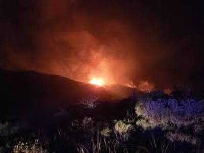 Μεσσηνία: Πυρκαγιά στο Παλαιό Λουτρό