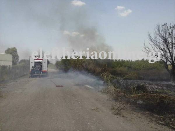 Φωτιά κοντά στη ΒΙΠΕ Καλαμάτας (βίντεο)
